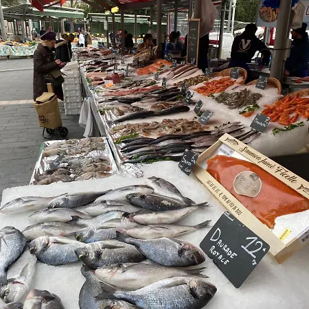 Very Central With Terrace