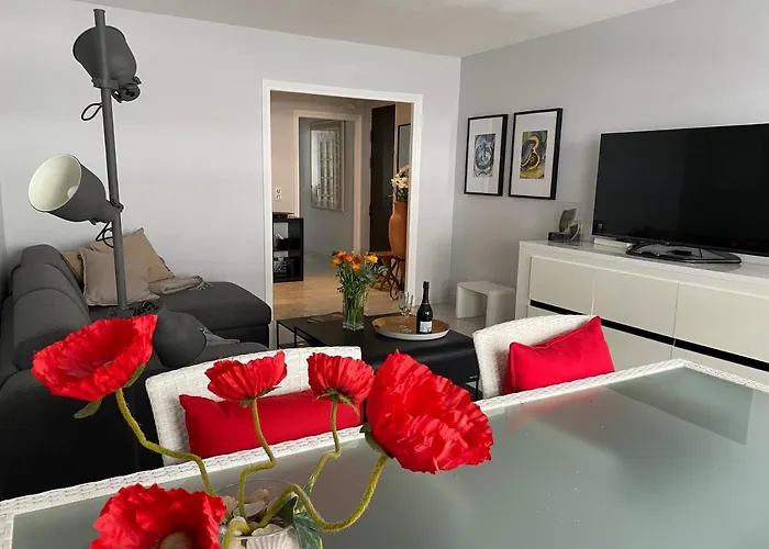 Apartment Very Central With Terrace Nice